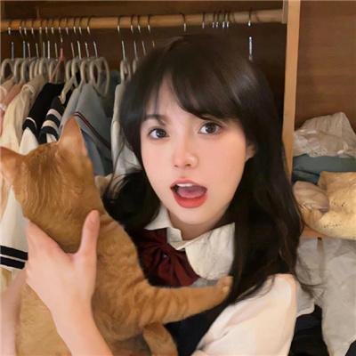 金毛喜迎冬